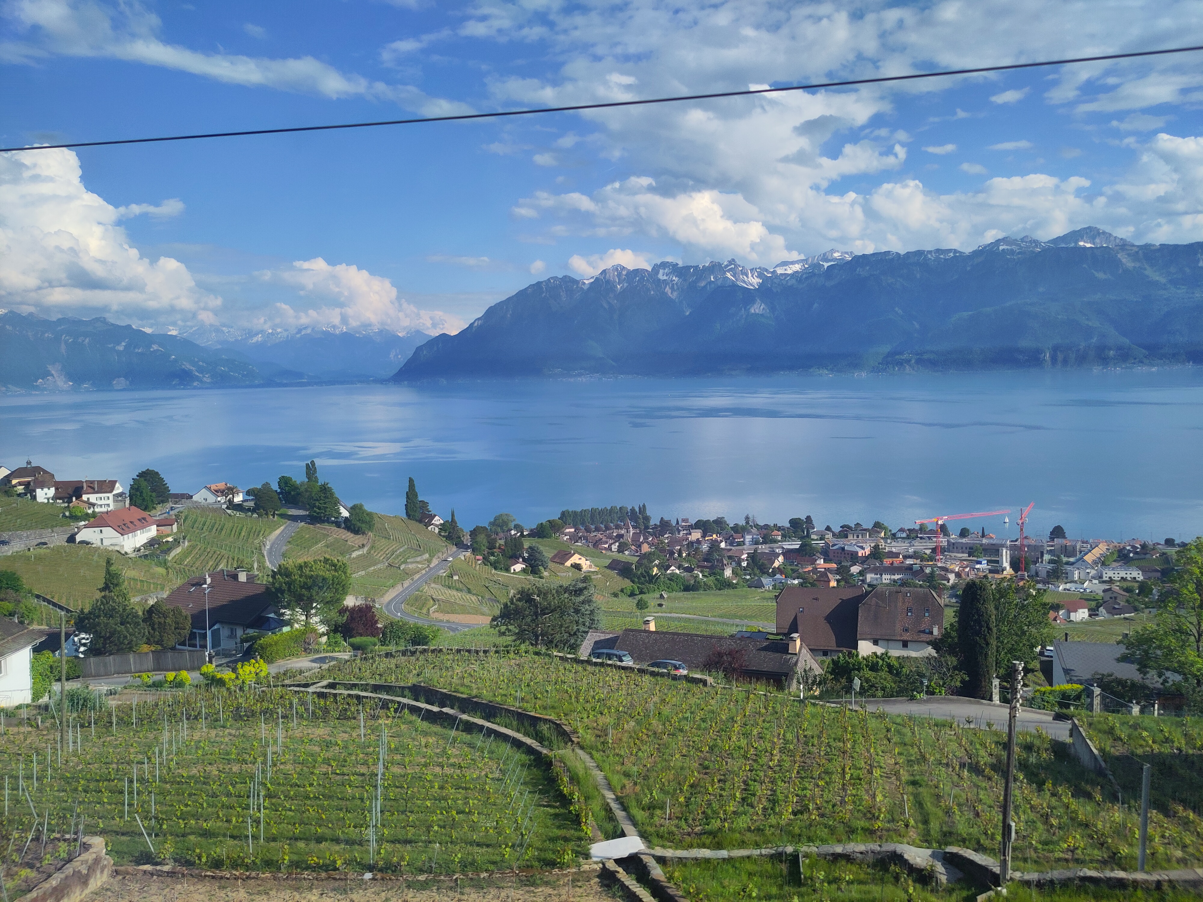 View from the train above Lavaux