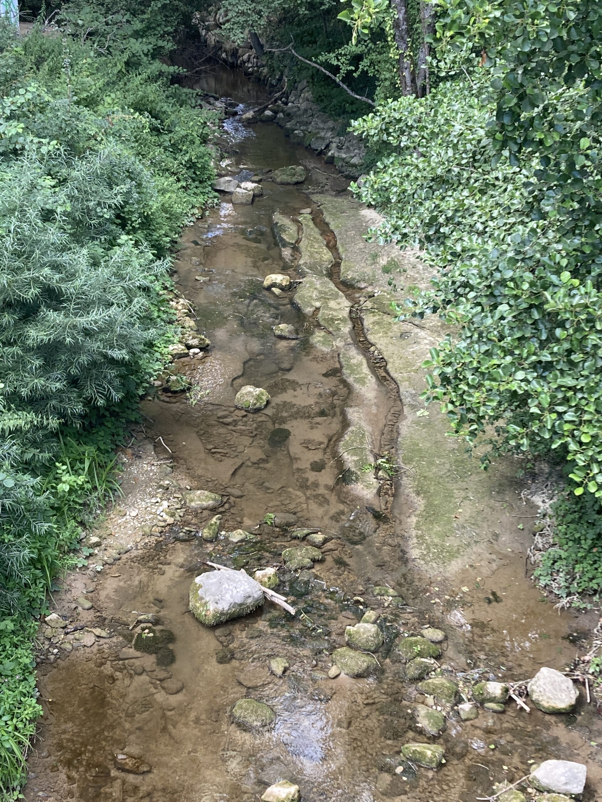 A stream with a low water level due to the lack of rain