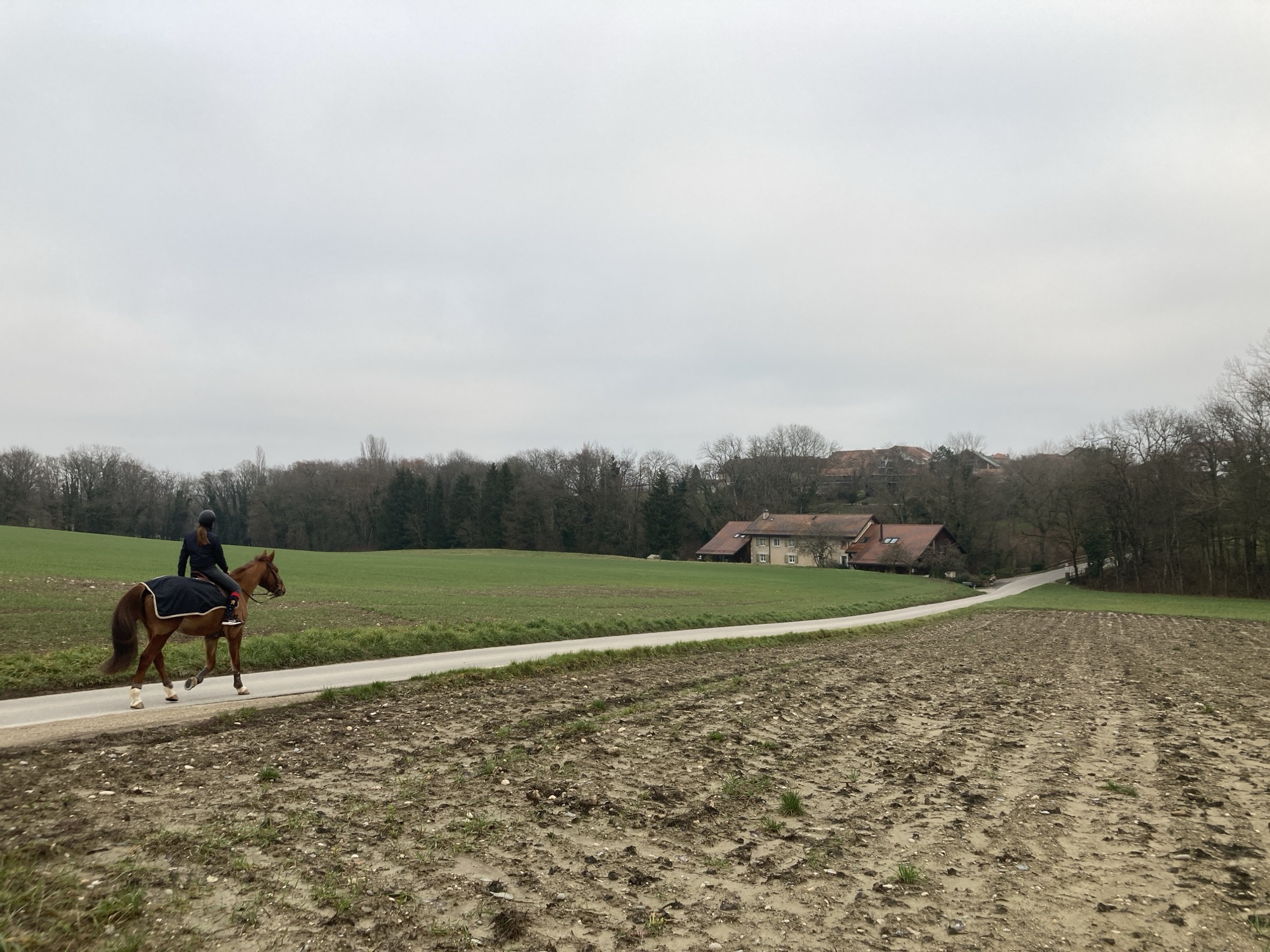 A horse walking towards Arnex Sur Nyon on an overcast day