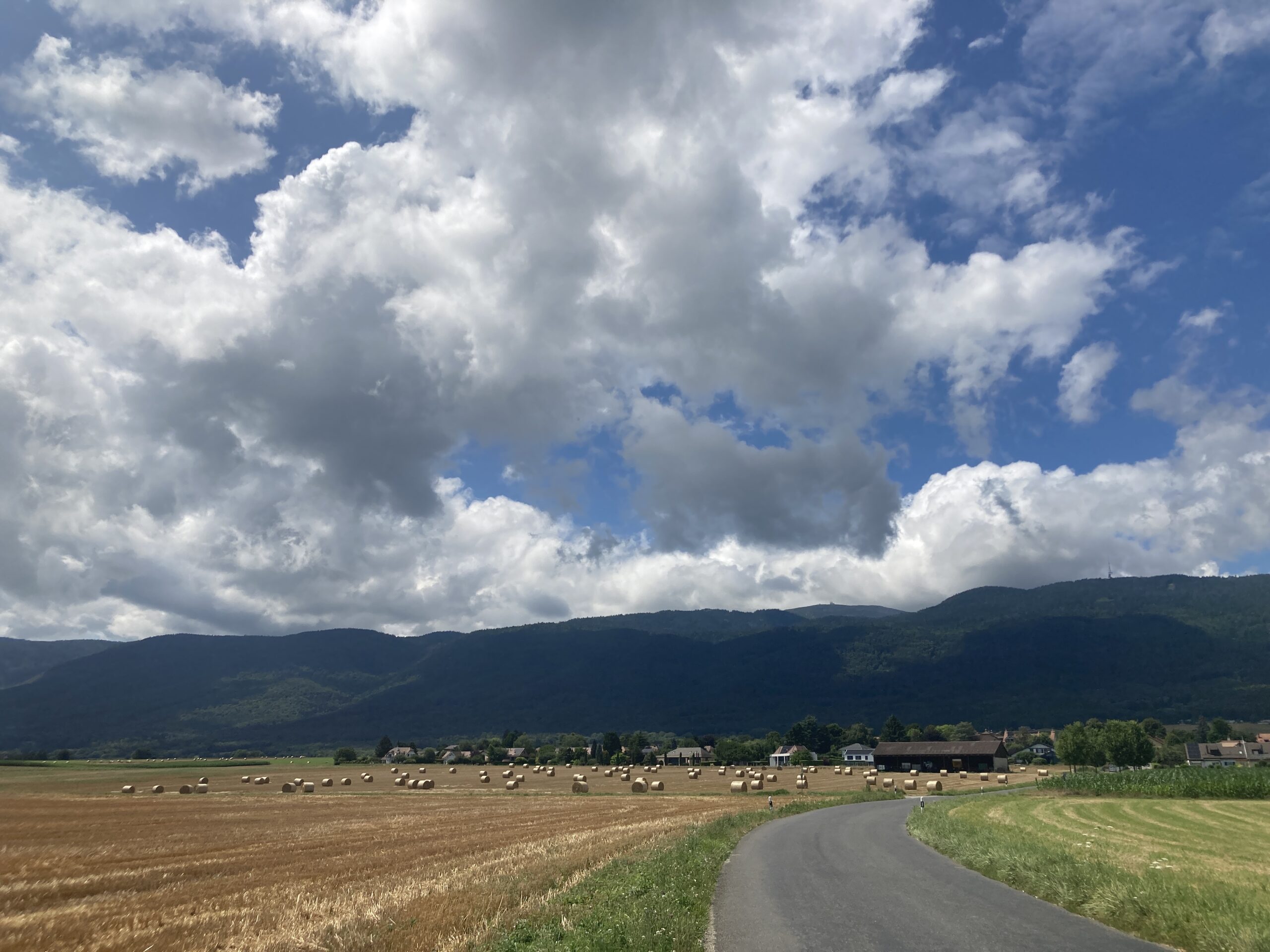 A view of the Jura on the road to Cheserex with bales of hay waiting to be plastified