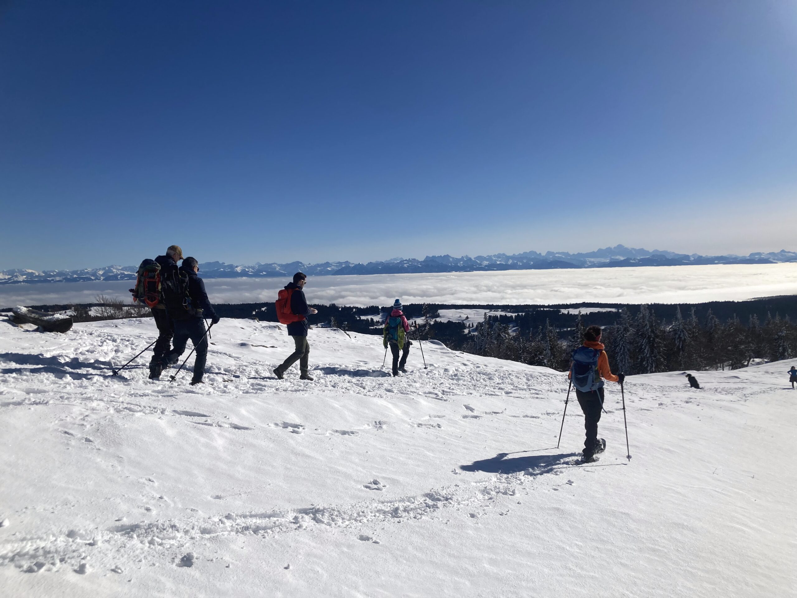 Snowshoeing at the Dent De Vaulion