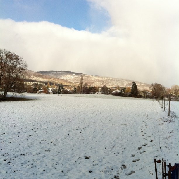 Snowy village