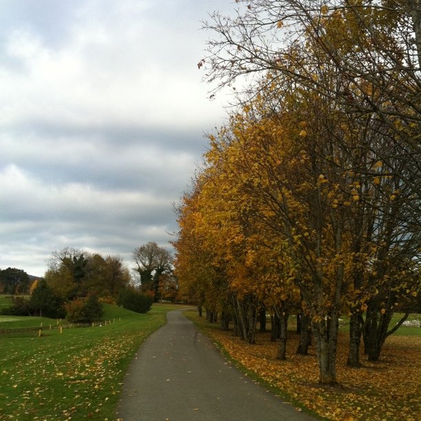 Autumn