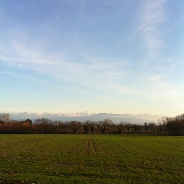 The Mont blanc