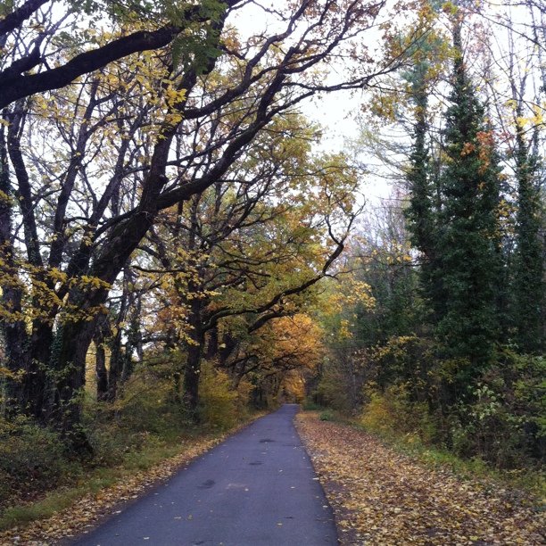 Walked along this path for years