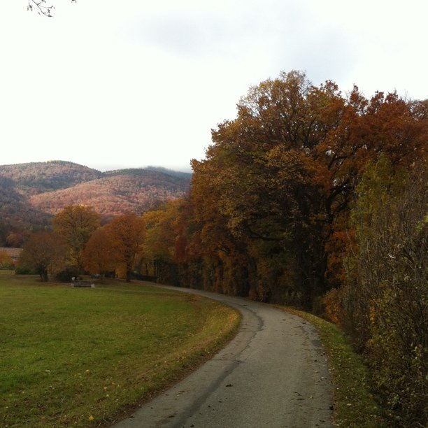 Autumn