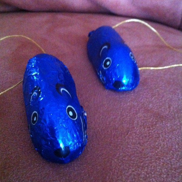 Mice made of chocolate
