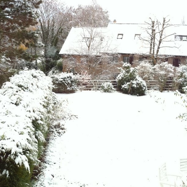 Snow fun