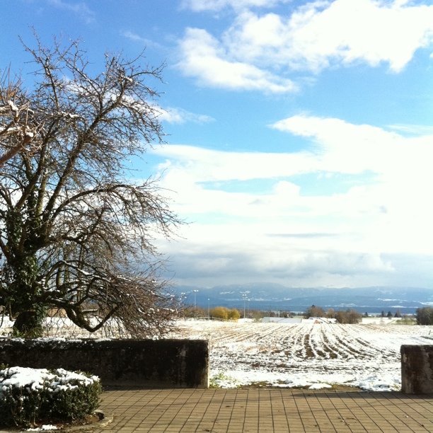 Beautiful day