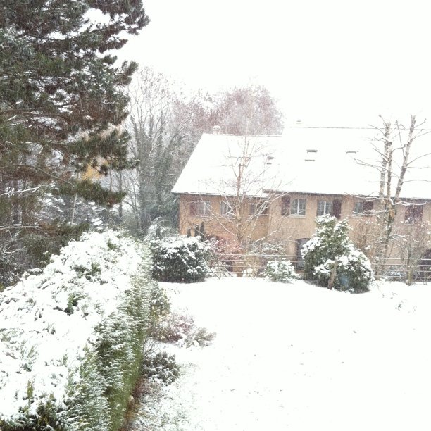 More snow fall