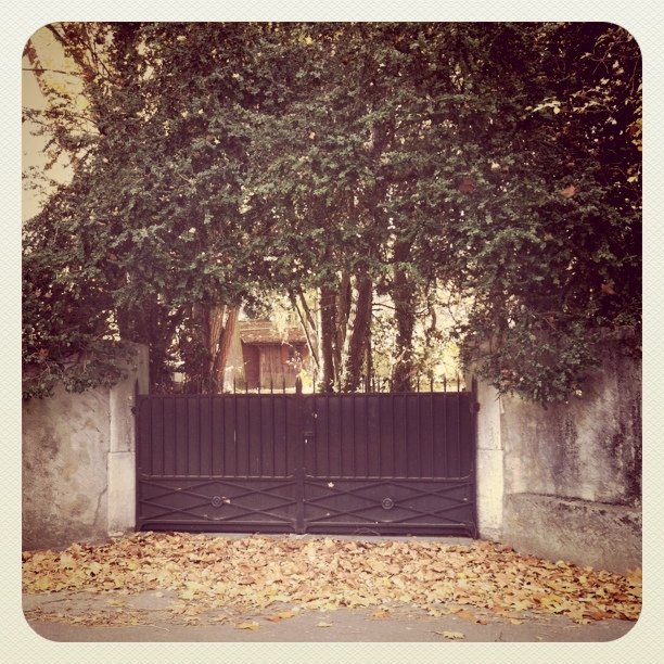 Barking dogs live here.