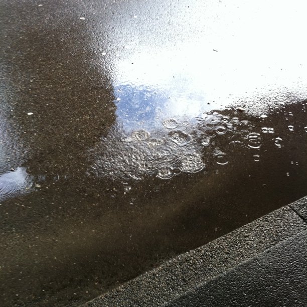 Fresh snow melt
