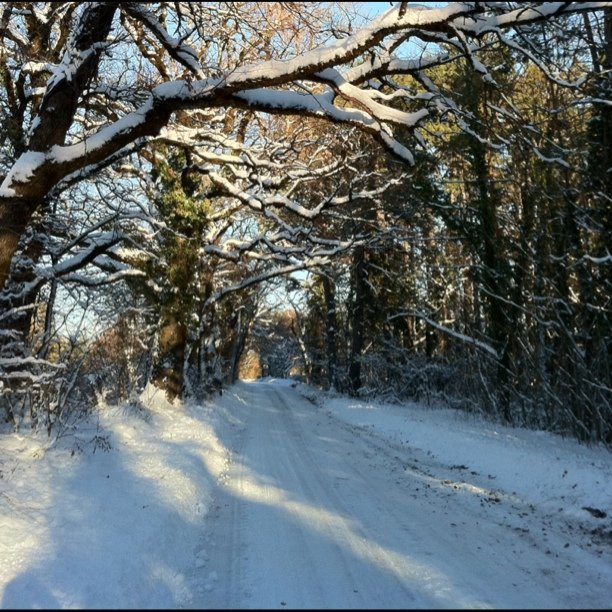 While the main stream media cried about the snow I enjoyed the sights.