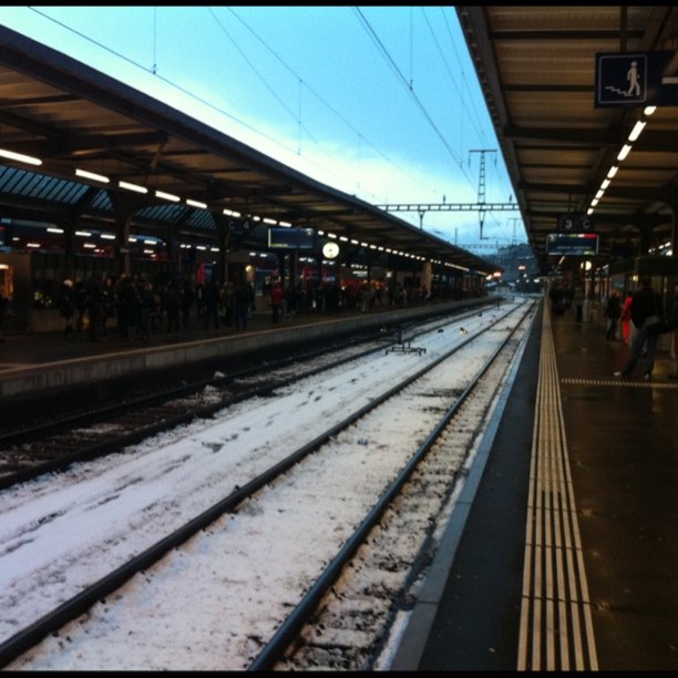 No snow in geneva
