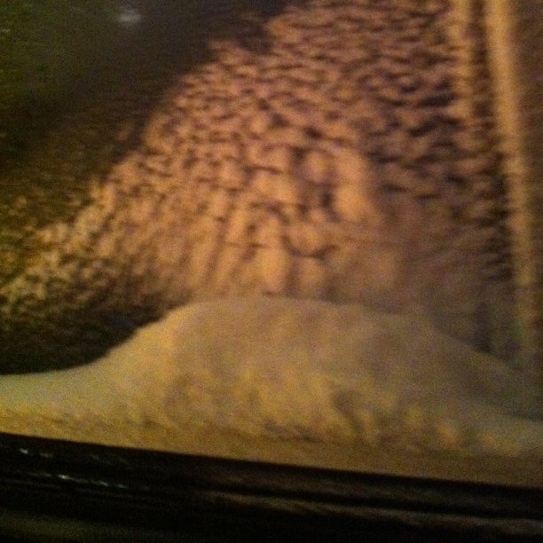 What you see in the restaurant car.