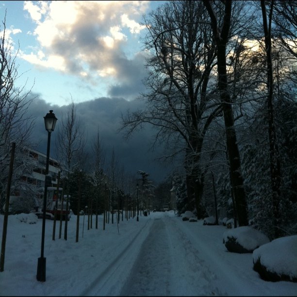 Winter glory