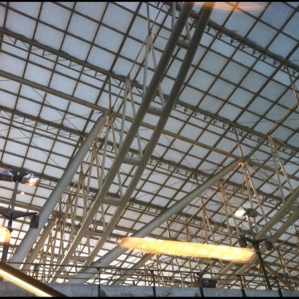 Fun roof
