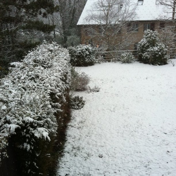 More snow 