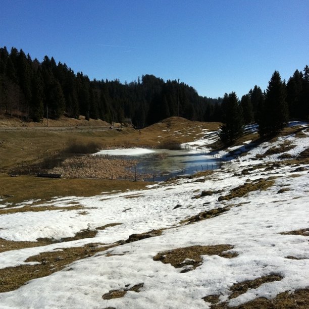 Spring