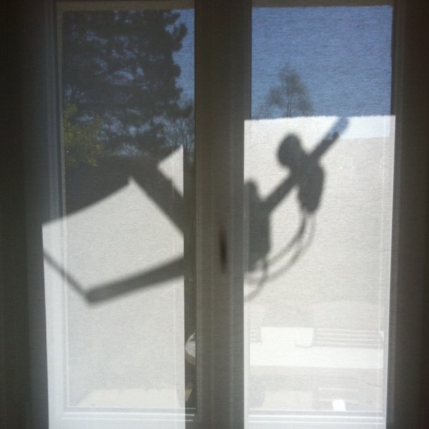 Interesting. Shadow