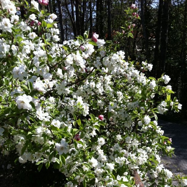 Had enough of spring?
