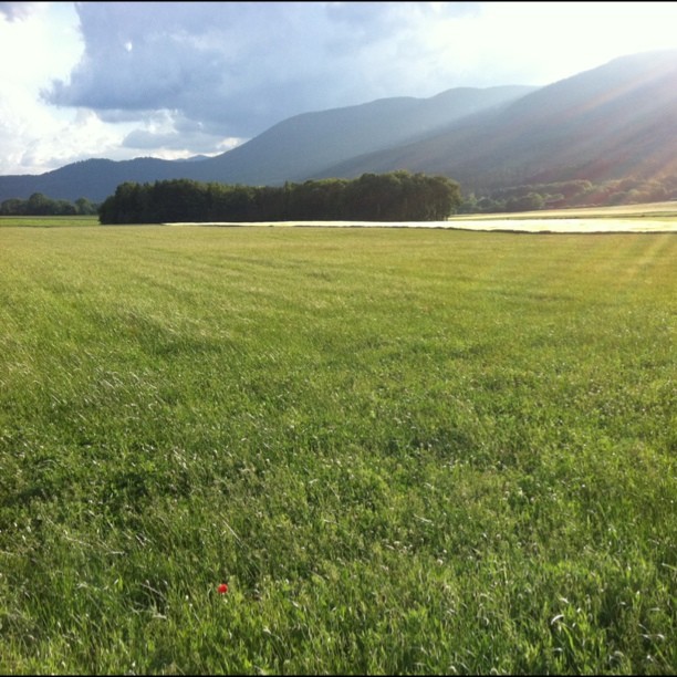 Swiss countryside