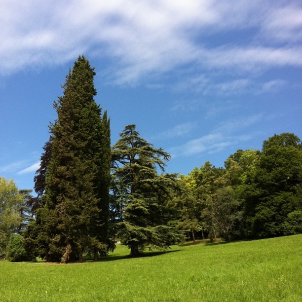 Nice weather 