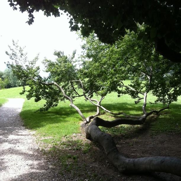 As a child that was a swing