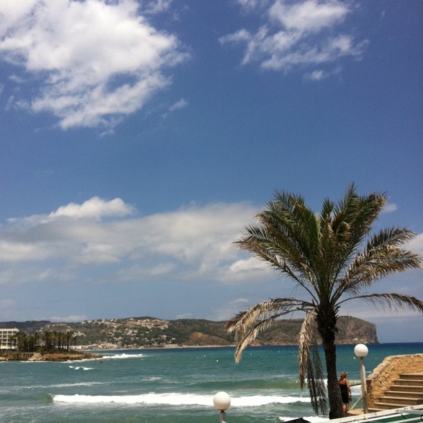 Lunch view