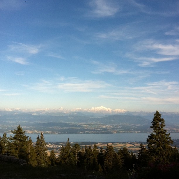 View from a dinner table.