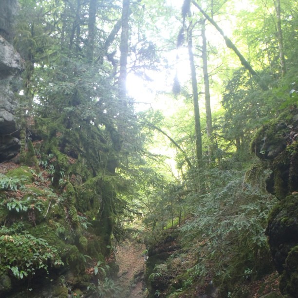 Canyoning