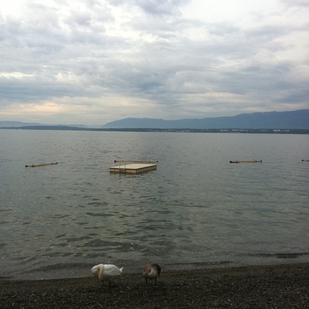The lake