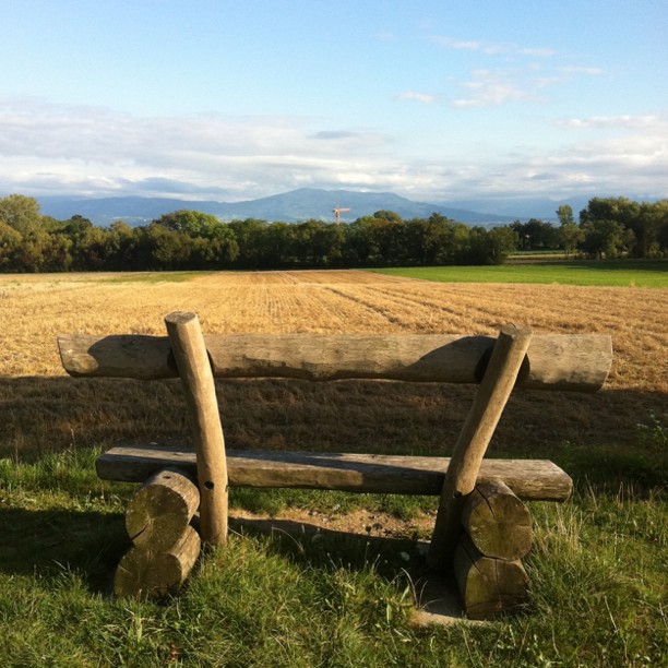 View of the alpes.