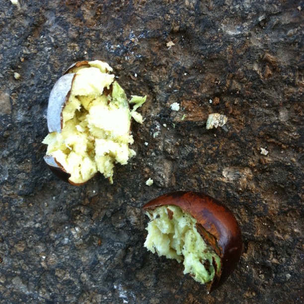 Terrible accident