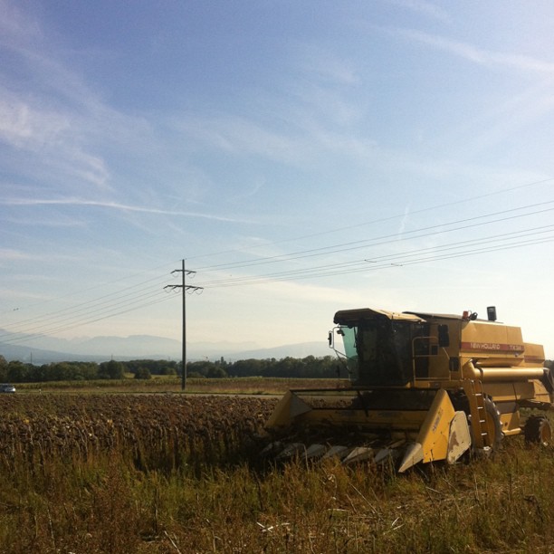 Harvesting the sun