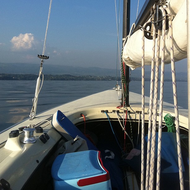 Sailing earlier today.