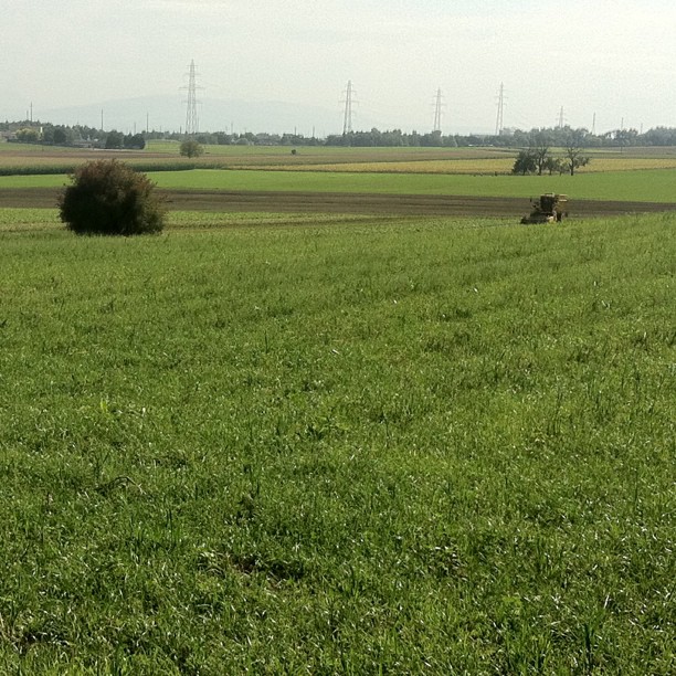 Countryside