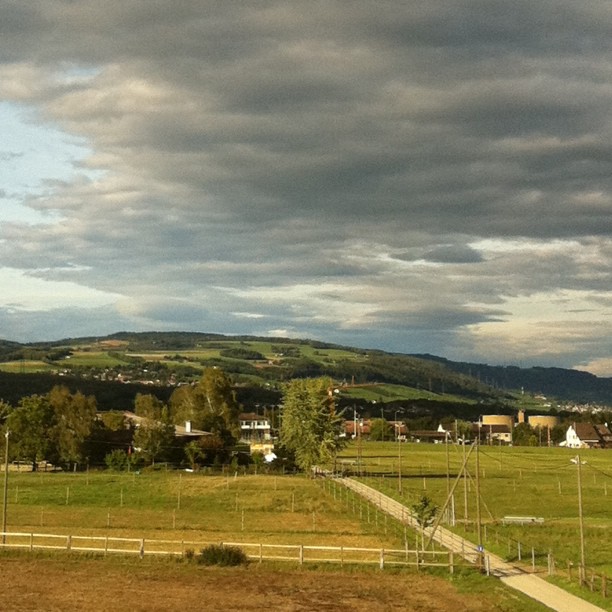 View from the fitness.