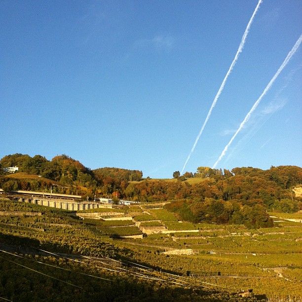 Pilots are such vandals of the blue sky