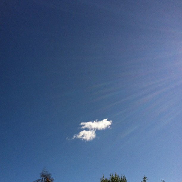 Lonely as a cloud. Can't even see con trails.