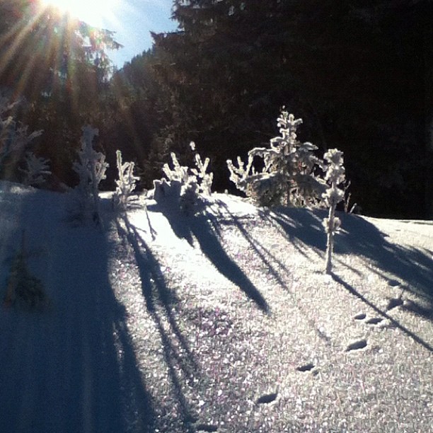 Frost and snow