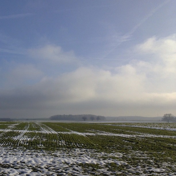 Looking towards the Leman