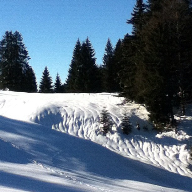 Snow relief