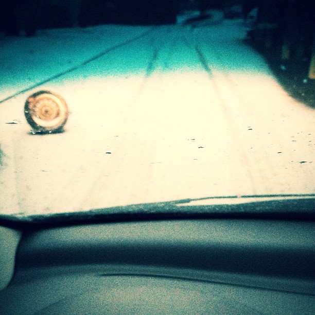Drive to work yesterday.