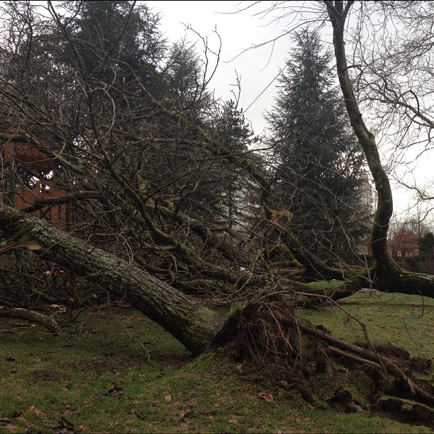 Storm damage.