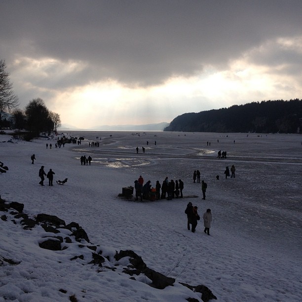 Marrons sur le lac