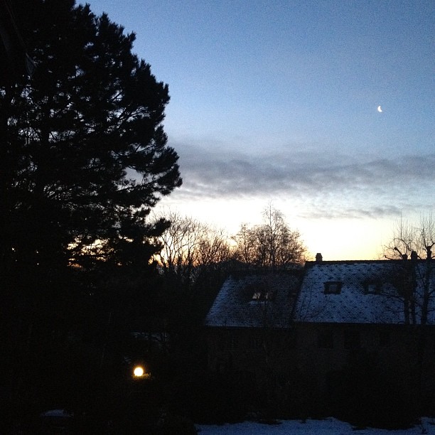 I see the sun rise every single morning for several weeks.
