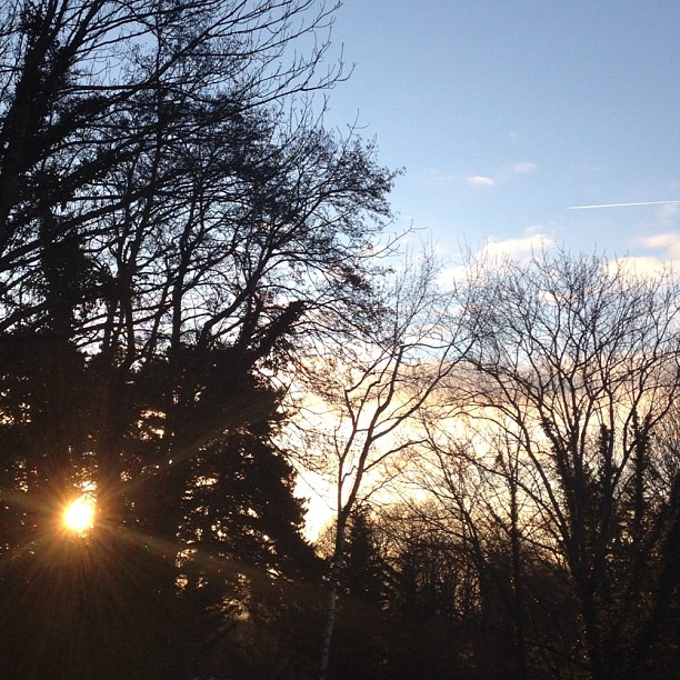 Another sunrise pic.