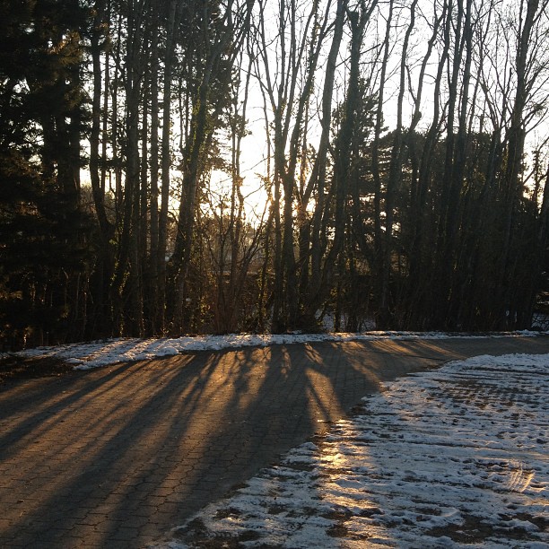 Winter: