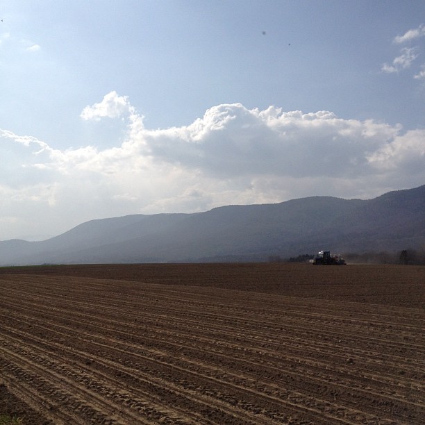 Seeding